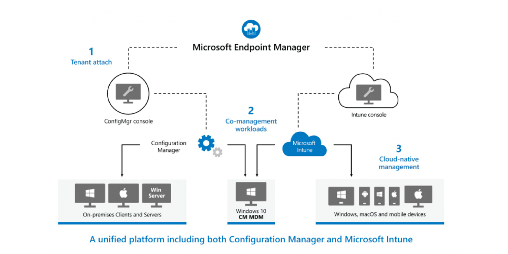 Reviewing the options for co-managed Windows devices using Configuration Manager (SCCM) and Microsoft Intune.