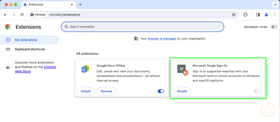Google Chrome Installed Extensions