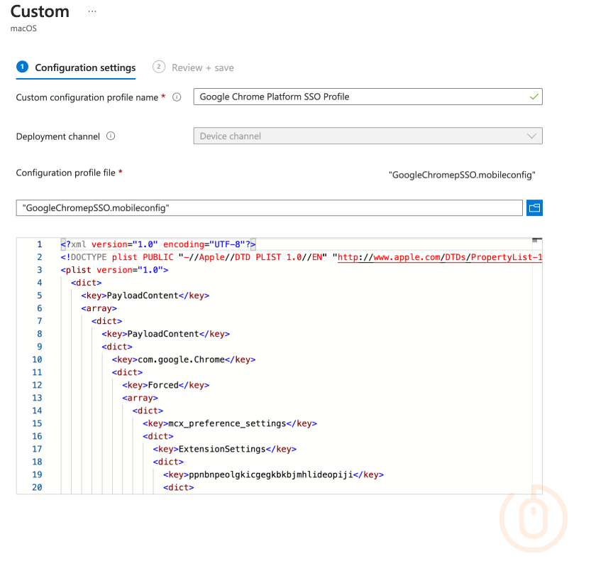 Microsoft Intune Custom Profile
